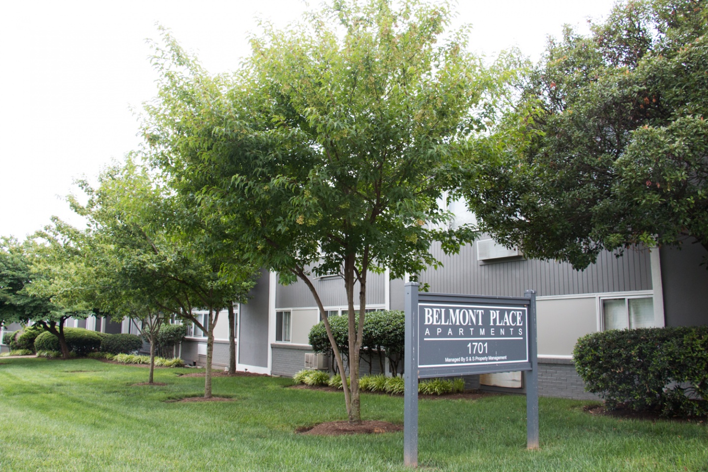 Belmont Place Nashville Guru