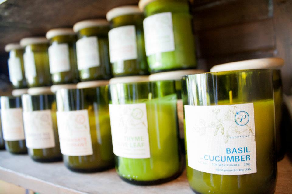 Paddywax Candles Nashville Guru