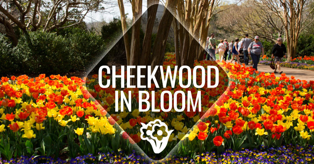 Cheekwood in Bloom Nashville Guru