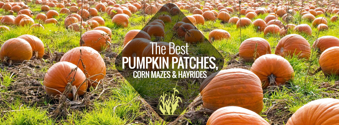 Pumpkin Patches, Corn Mazes, & Hay Rides Nashville Guru