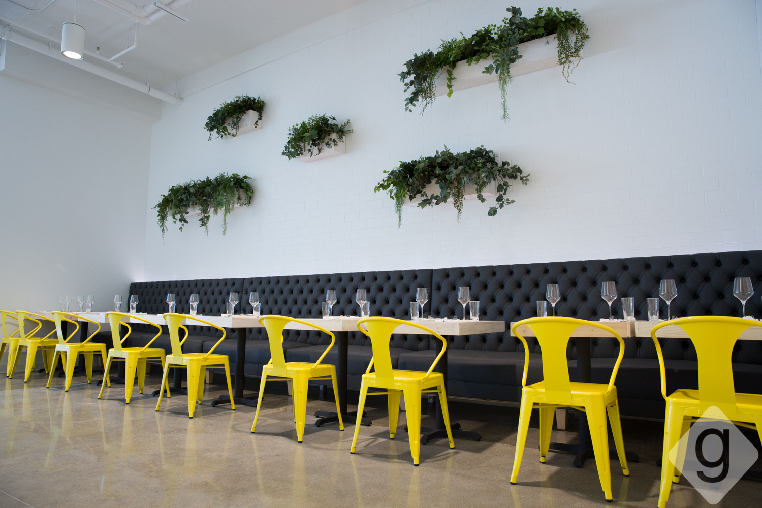 A Look Inside Salt & Vine Nashville Guru