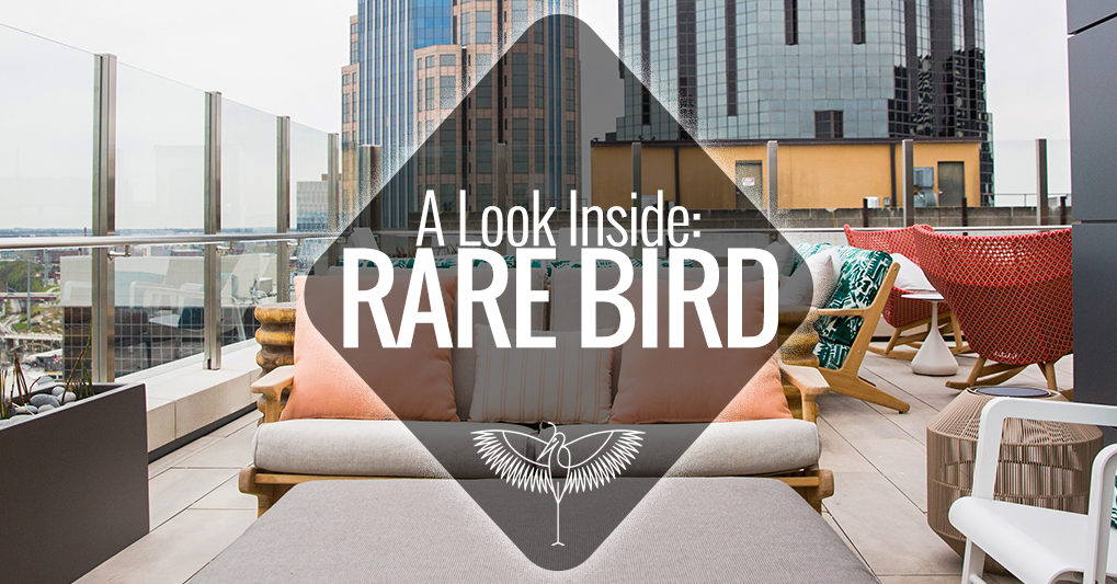 A Look Inside Rare Bird Nashville Guru