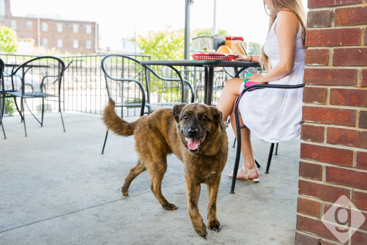 Peg Leg Porker DogFriendly Patio15 Nashville Guru