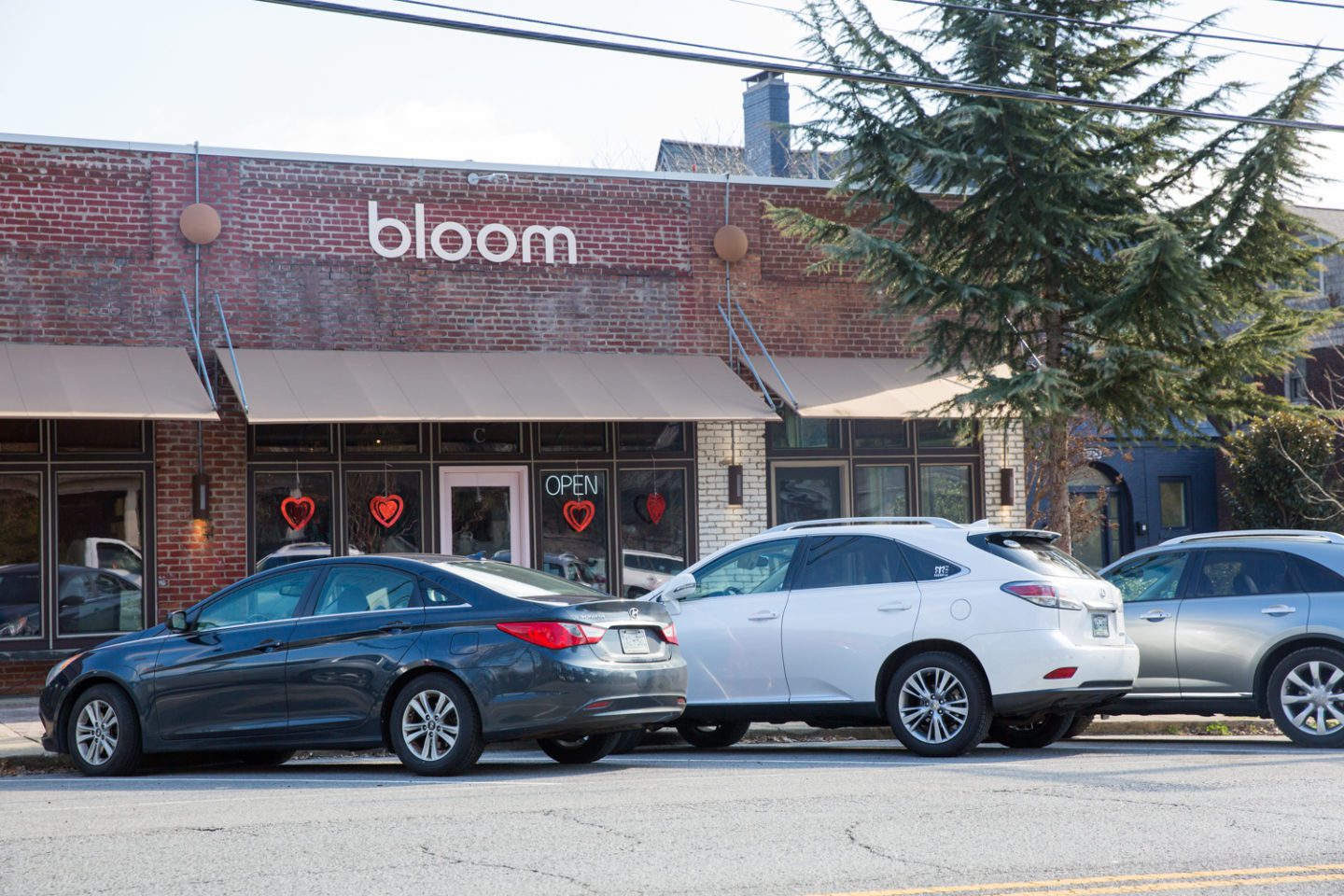 Bloom Nashville Guru
