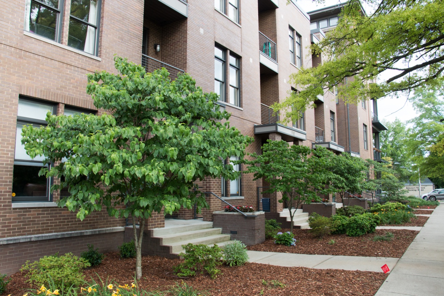 The Glen Nashville Guru