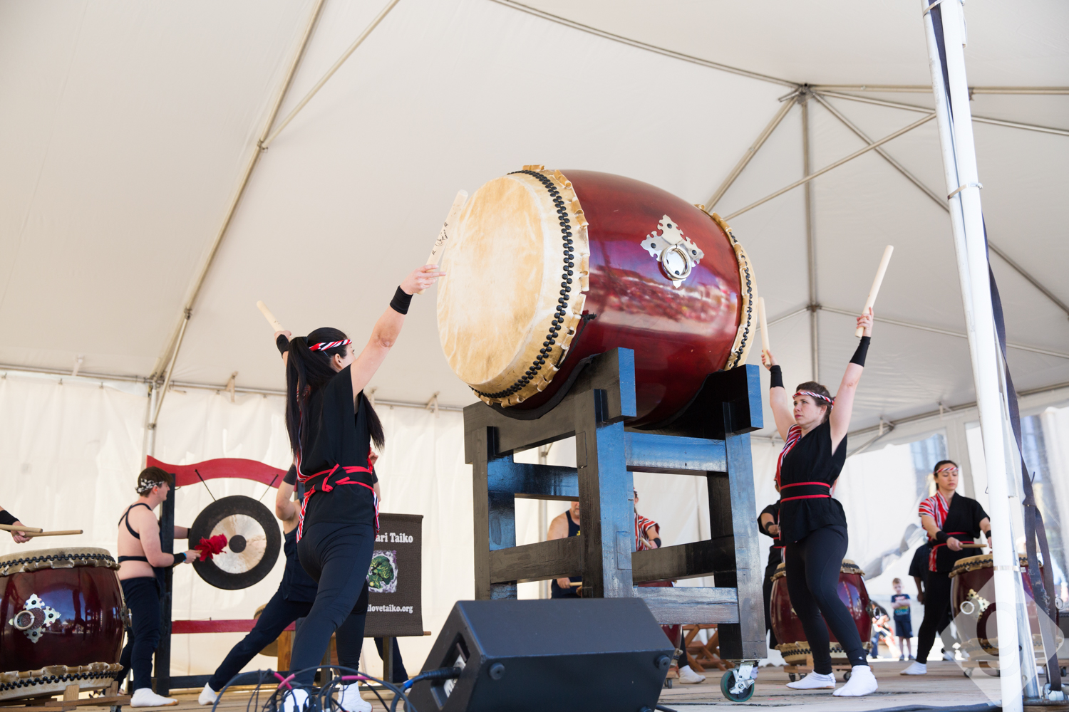 Nashville Cherry Blossom Festival Nashville Guru