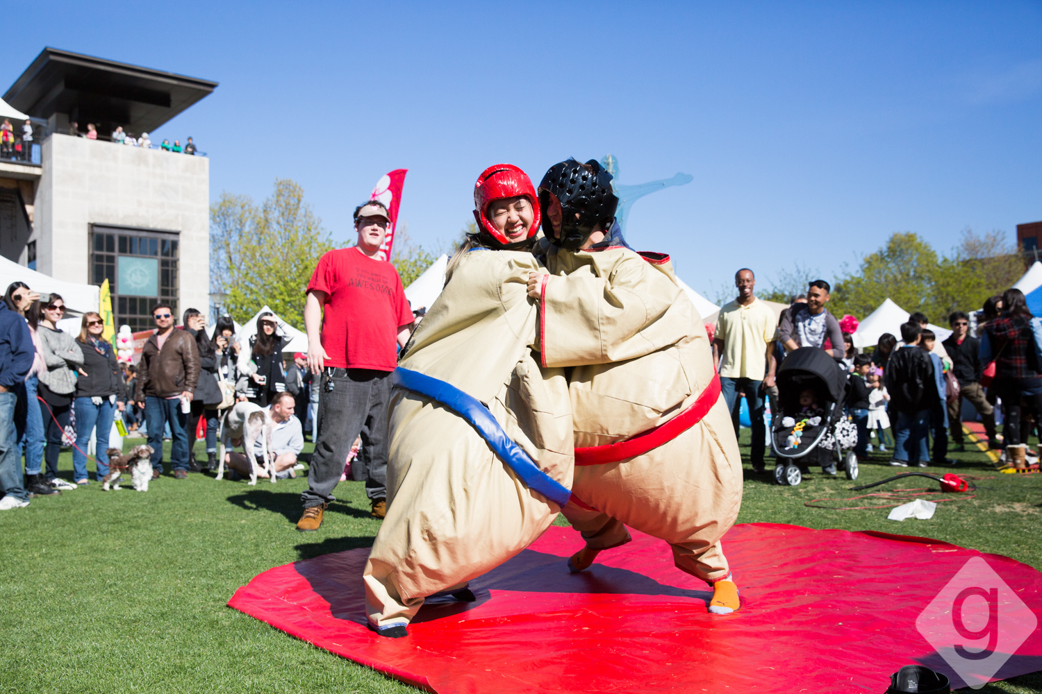 Nashville Cherry Blossom Festival Nashville Guru