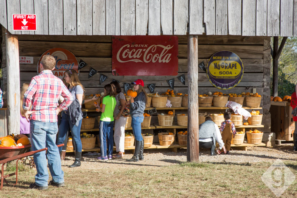 Pumpkin Patches, Corn Mazes, & Hay Rides Nashville Guru