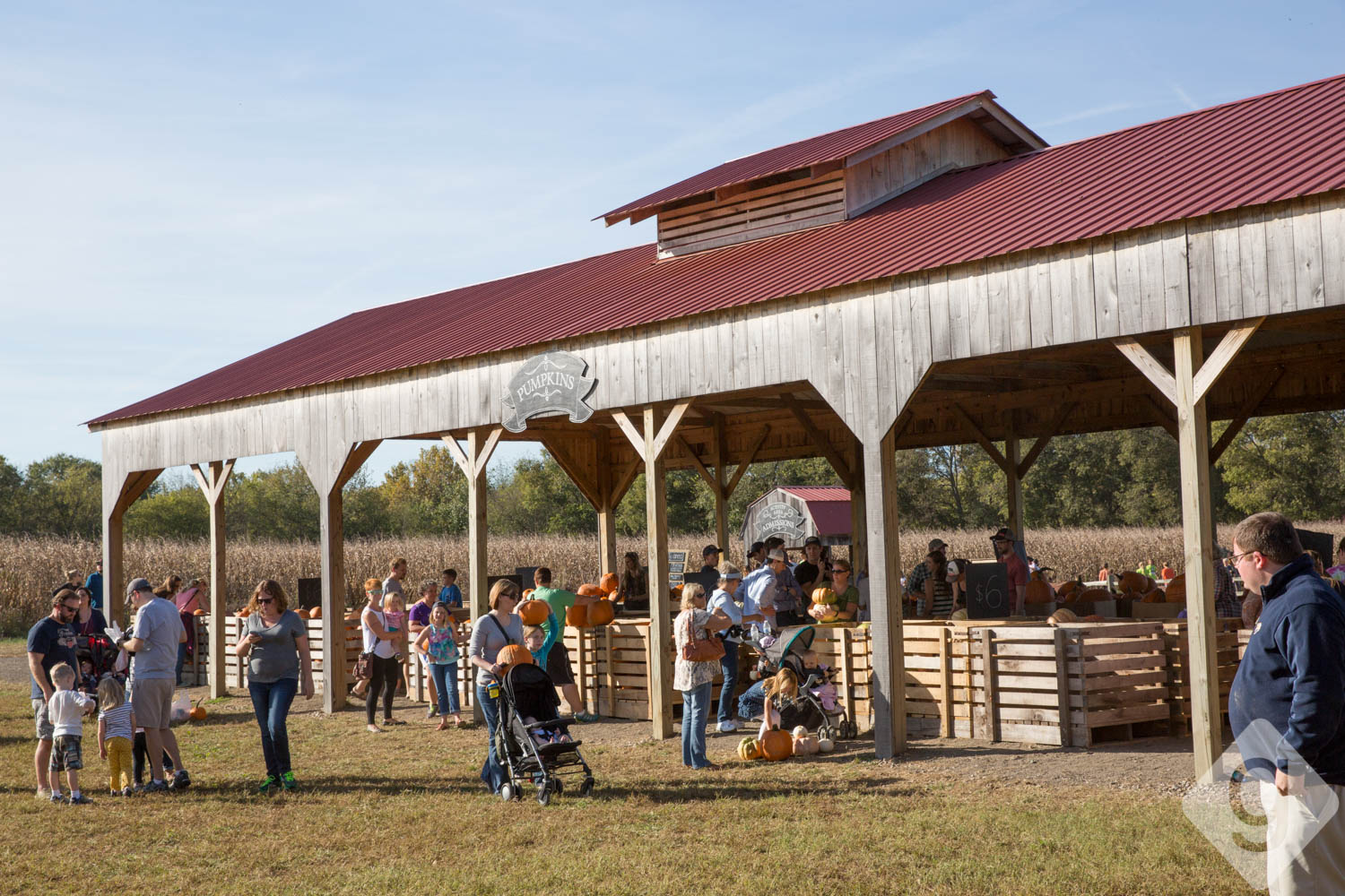 Pumpkin Patches, Corn Mazes, & Hay Rides Nashville Guru
