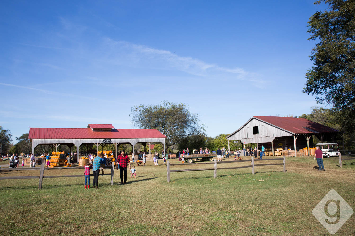 Pumpkin Patches, Corn Mazes, & Hay Rides Nashville Guru