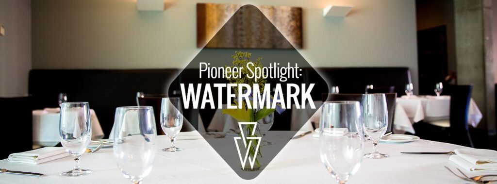 Pioneer Spotlight-Watermark