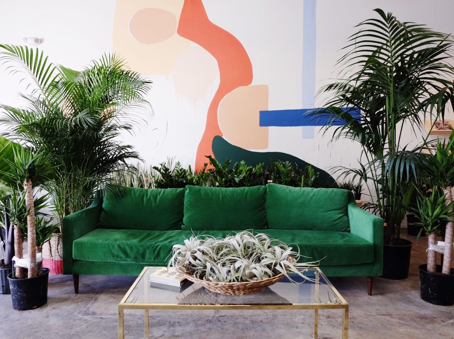 Best Plant & Flower Shops in Nashville Nashville Guru