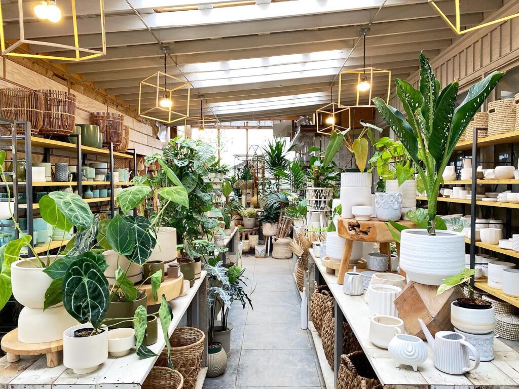 Best Plant & Flower Shops in Nashville Nashville Guru