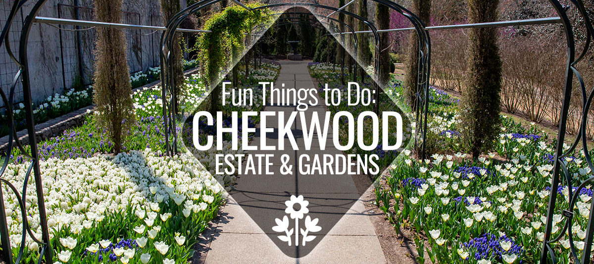 Fun Things To Do: Cheekwood Estate and Gardens | Nashville Guru