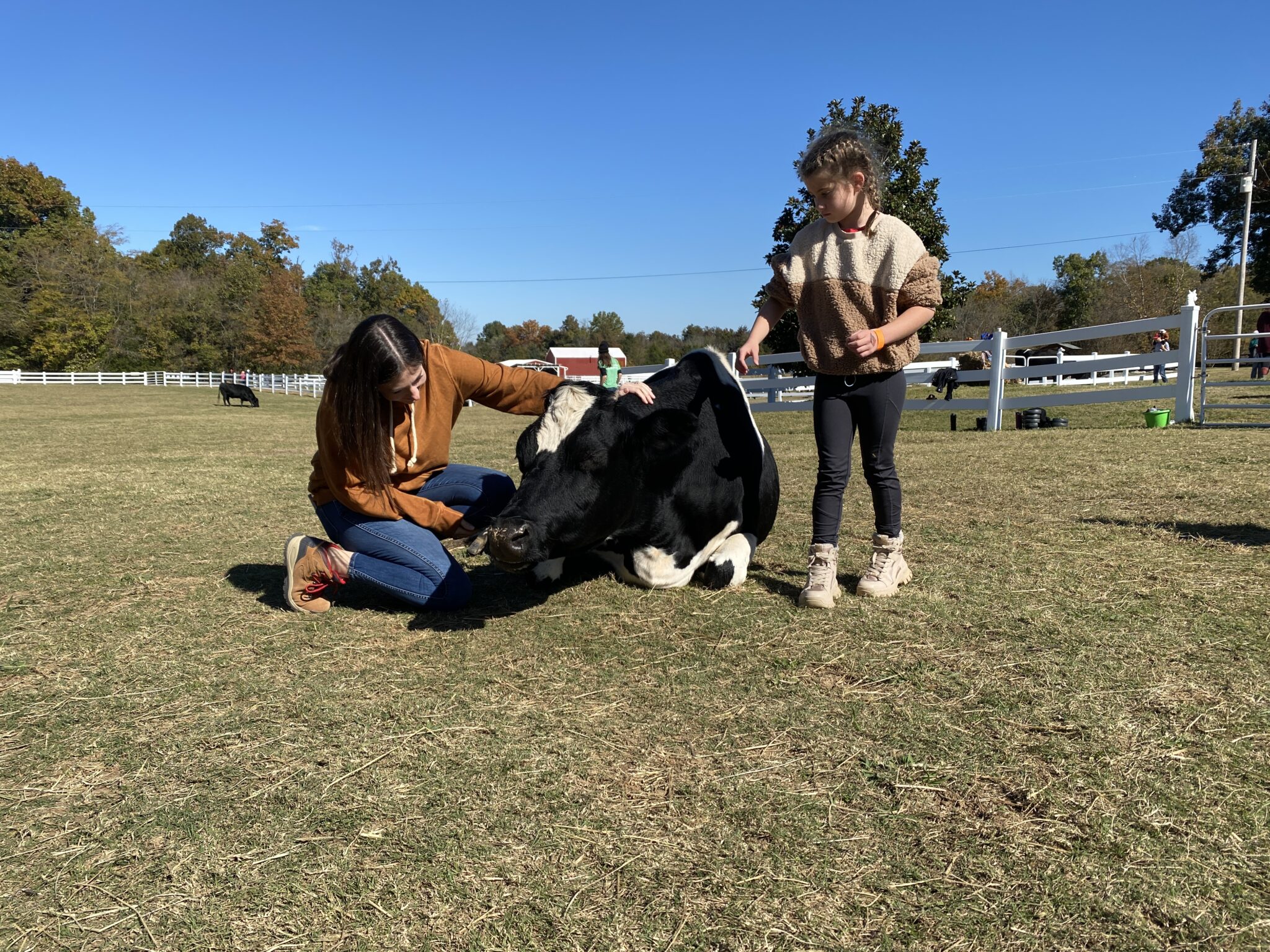 The Gentle Barn Nashville Guru