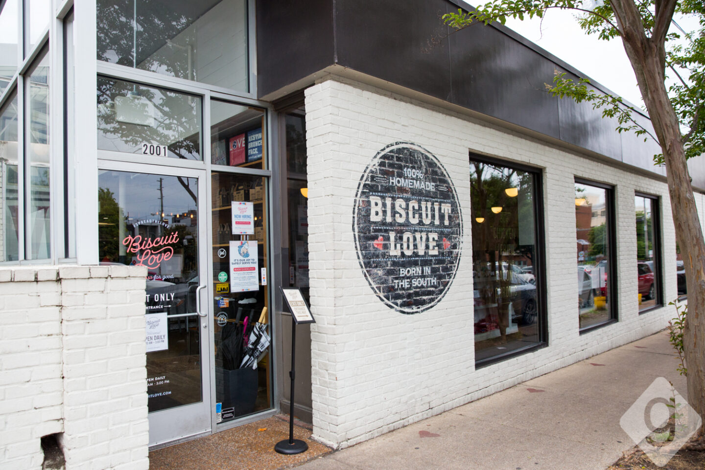 50+ DogFriendly Patios in Nashville Nashville Guru