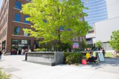 Gulch | Nashville Guru