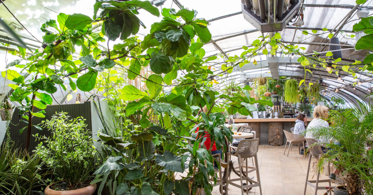 Greenhouse Bar Nashville Guru