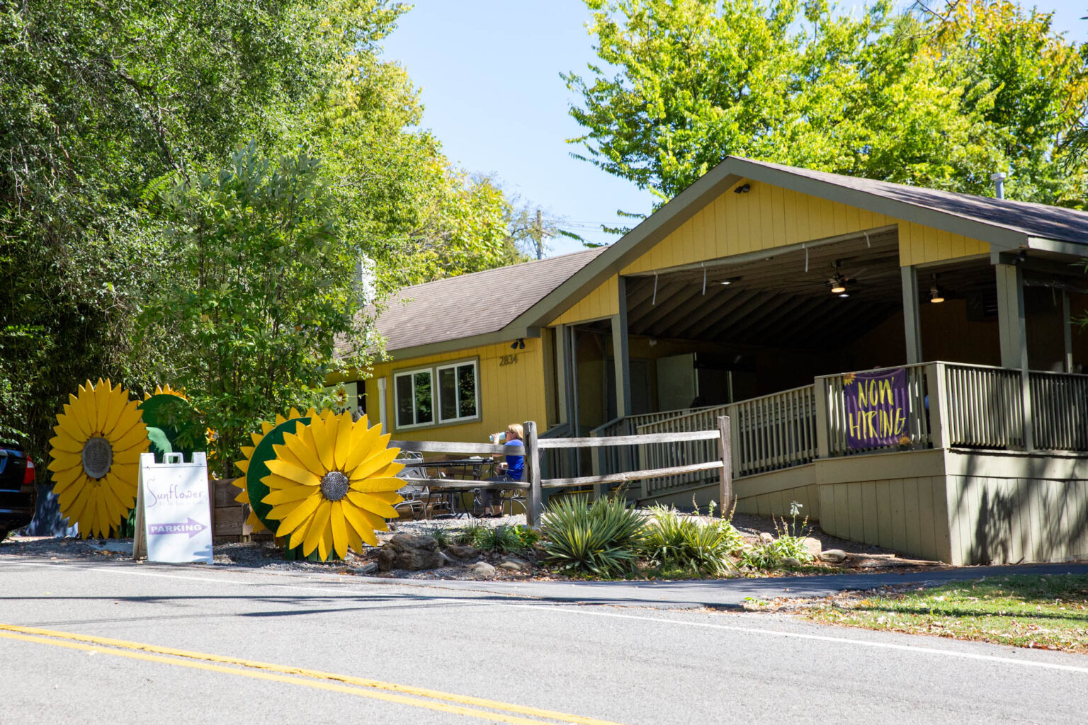 Sunflower Cafe Nashville Guru