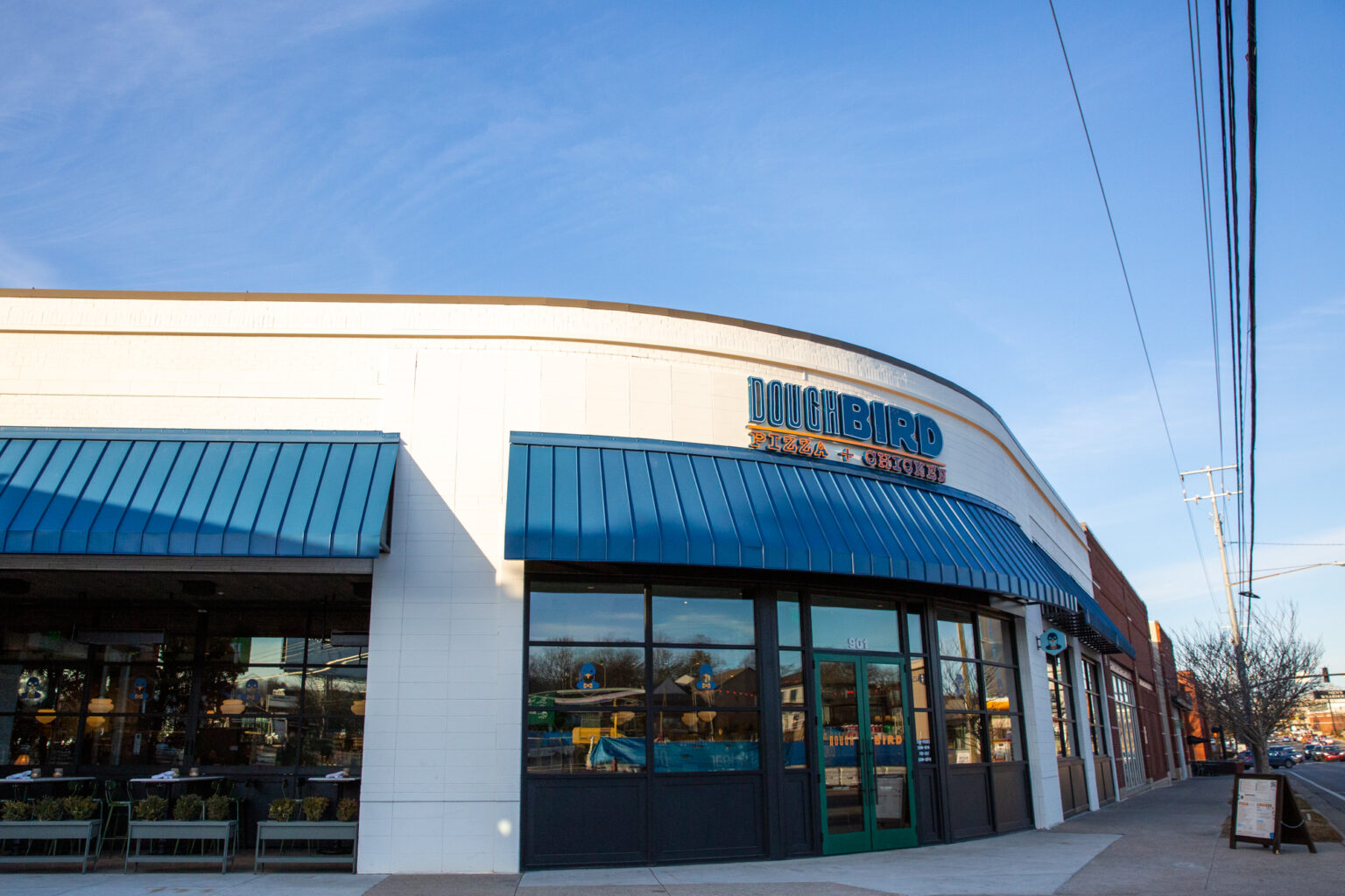 Doughbird Nashville Guru