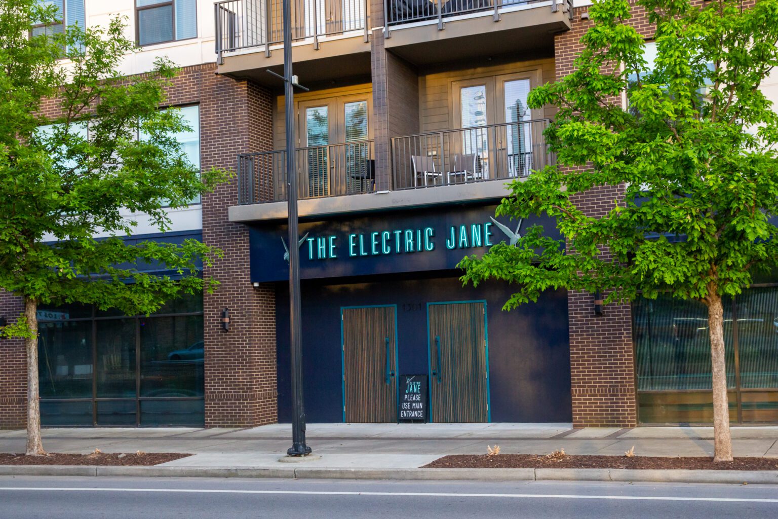The Electric Jane Nashville Guru